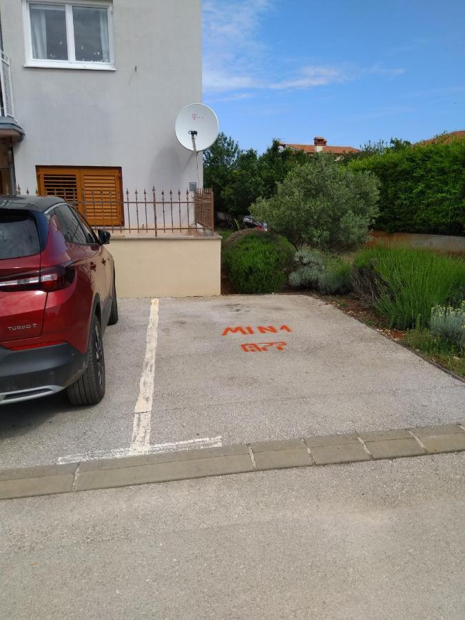 Medo Apartment Novigrad  Bagian luar foto