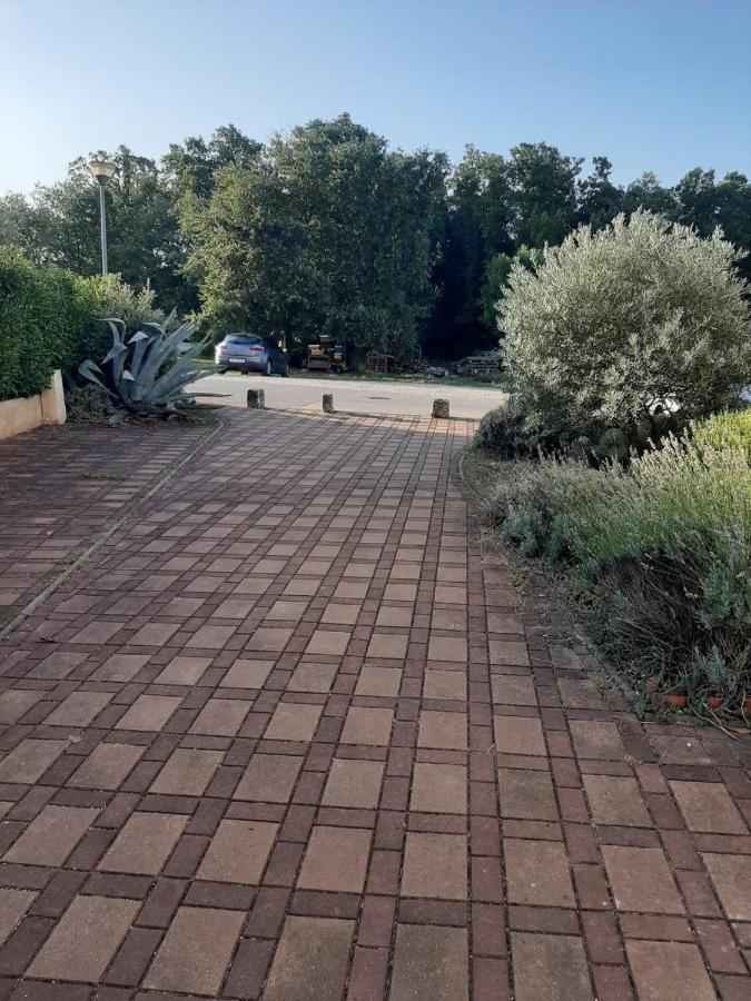 Medo Apartment Novigrad  Bagian luar foto