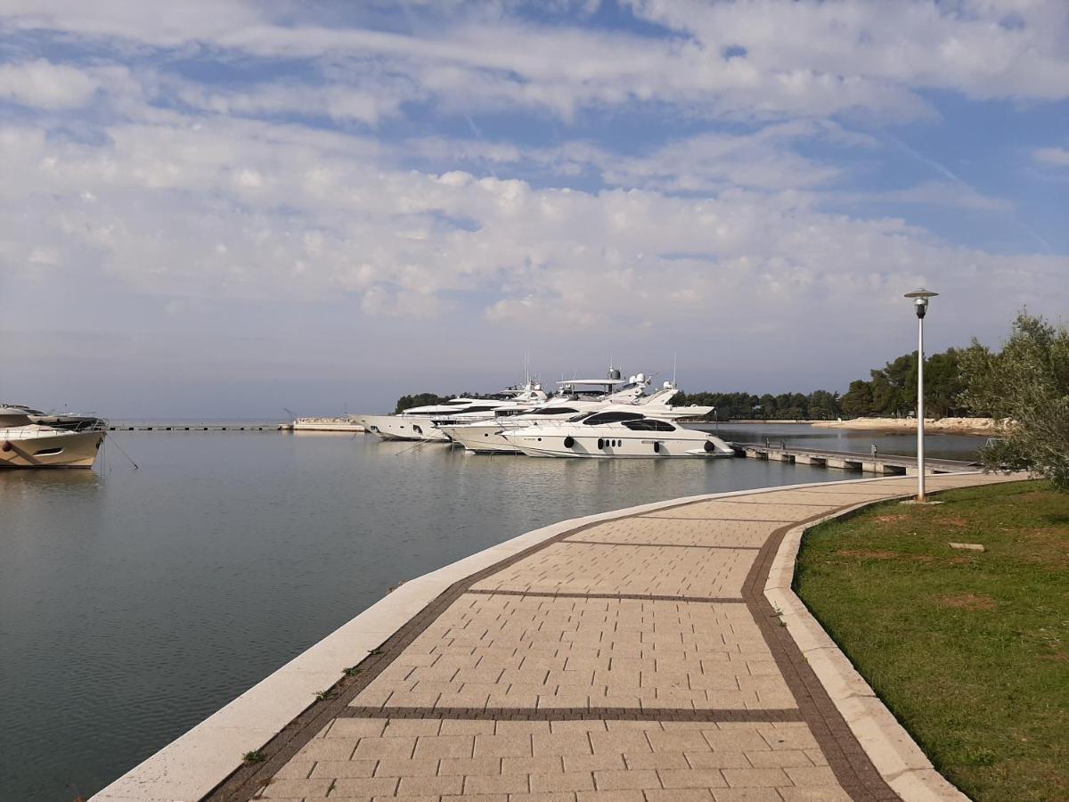 Medo Apartment Novigrad  Bagian luar foto